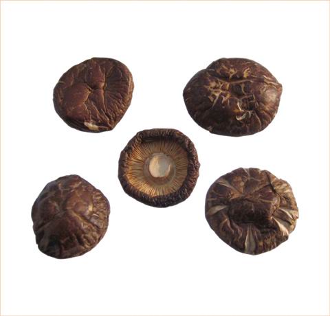 dried Shiitake mushroom