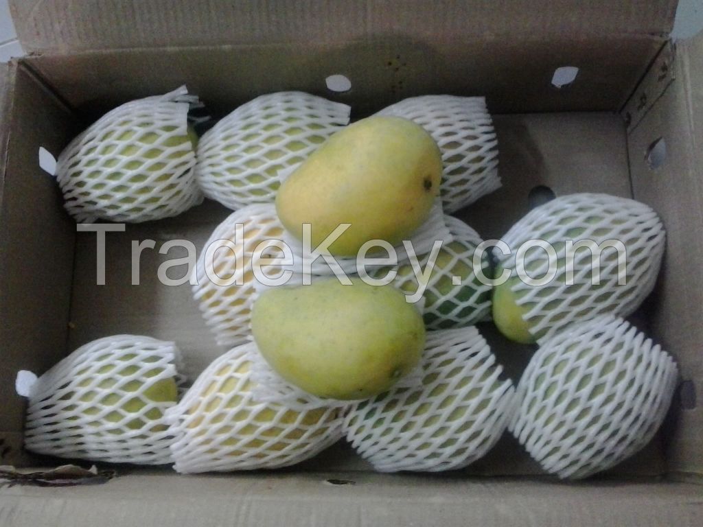 FRESH INDIA MANGO- BEST QUALITY OF ROYAL 