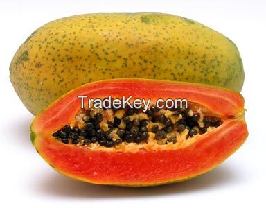 Papaya 