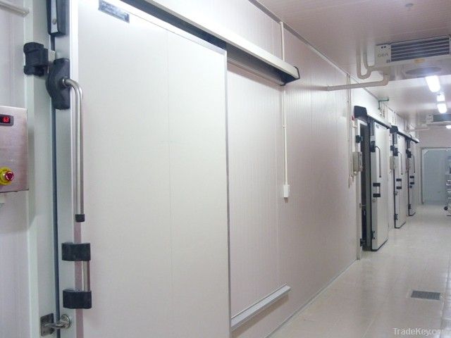 Cold room doors