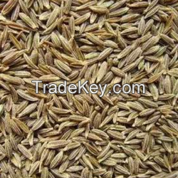 CUMIN SEEDS