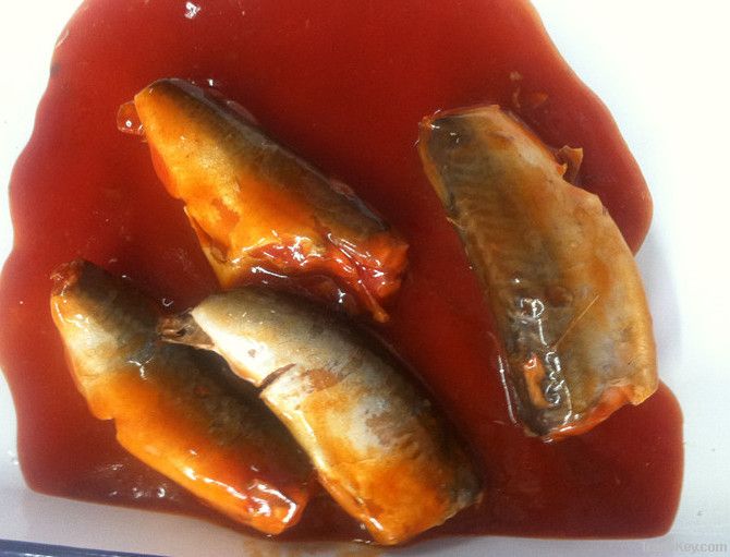 canned mackerel in tomato sauce