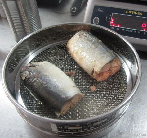 canned mackerel in brine