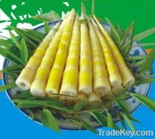 Slender Bamboo Shoots