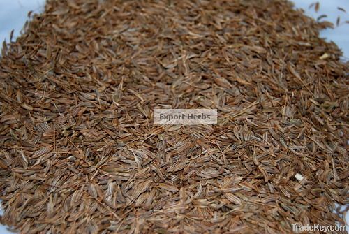 Caraway Seed