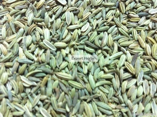 Fennel Seed