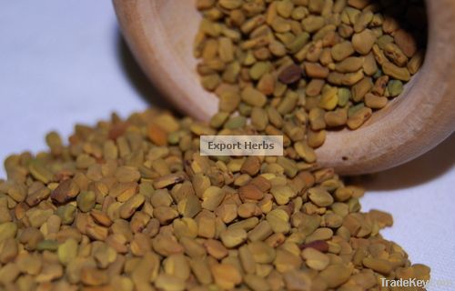 Fenugreek Seed