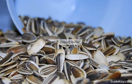 New Crop Sunflower Seeds Suppliers | Sunflower Seed Exporters, | Sunflower Black Seed  | Striped Black Seed | Flowers Seed | Sunflower Kernels