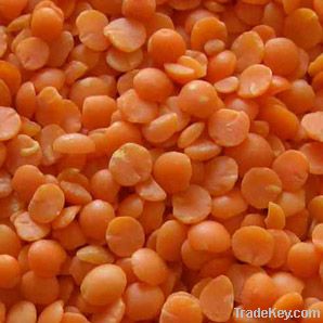 Split Red Lentil