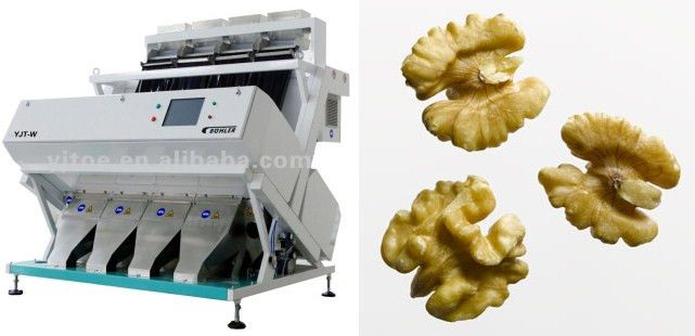 Buhler Walnut Color Sorter Machine