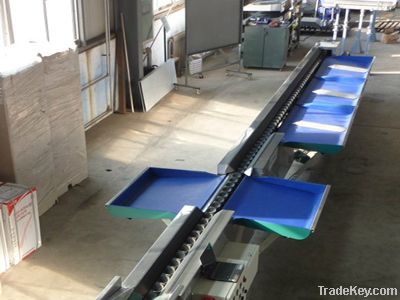 Fruits Weighing Sorting Machine