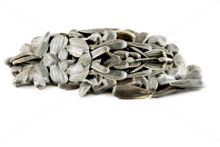 SUNFLOWER SEED