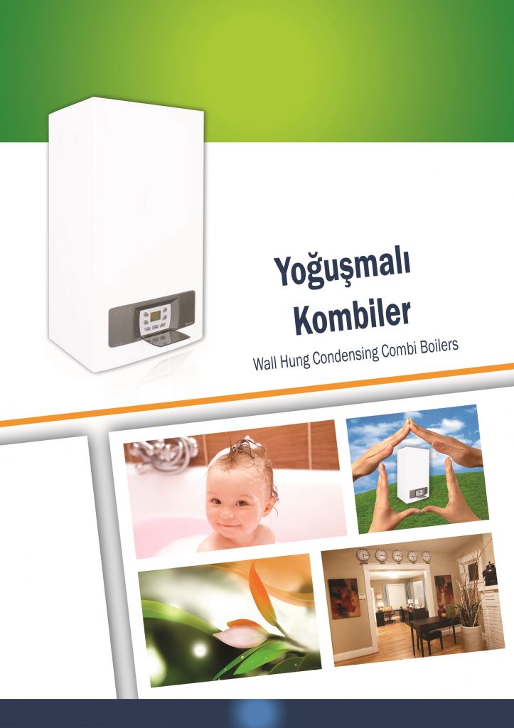 WALL HUNG GAS BOILER