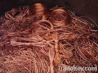 Copper Scraps Suppliers | Copper Scrap Exporters | Copper Scrap Manufacturers | Cheap Copper Scrap | Wholesale Copper Scraps | Discounted Copper Scrap | Bulk Copper Scraps | Copper Scrap Buyer | Import Copper Scrap | Copper Scrap Importers | Copper Scrap 