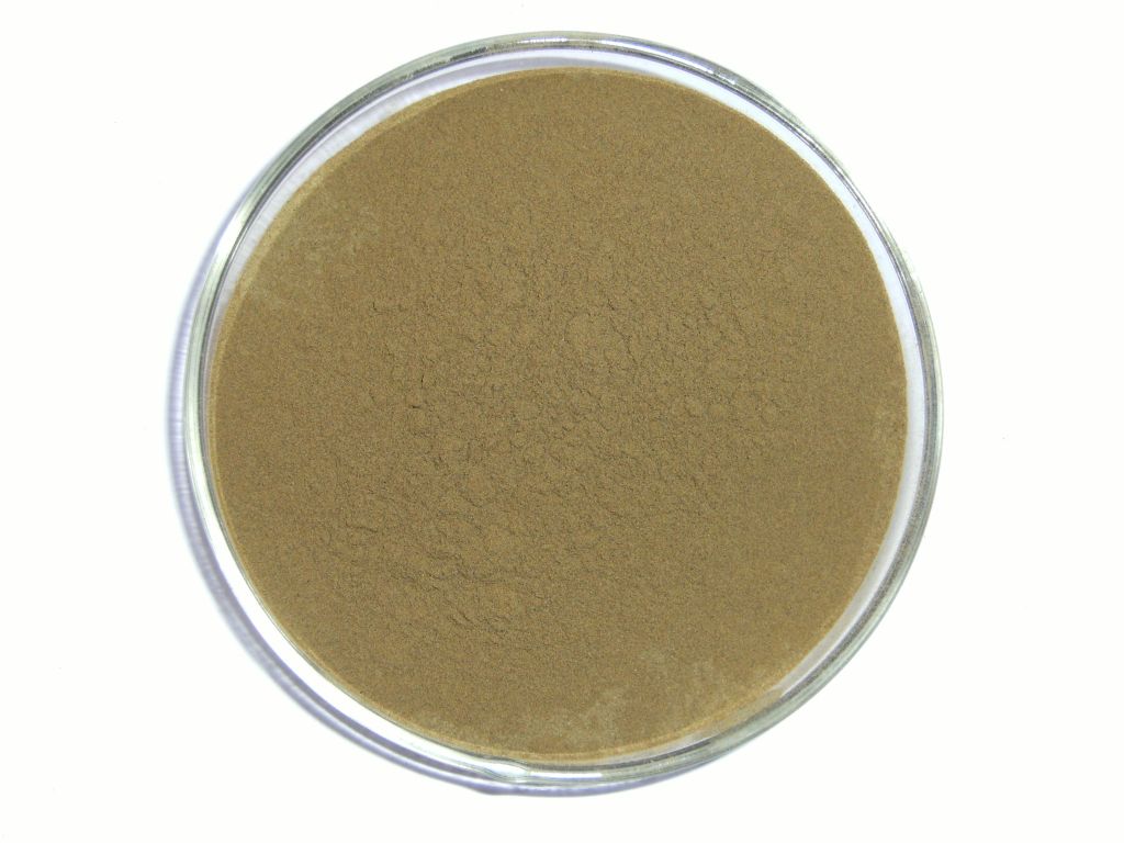 Bacopa MOnnieri extract