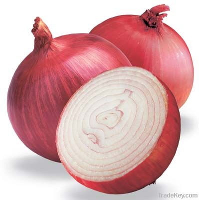 fresh onion