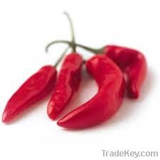 RED CHILLIES