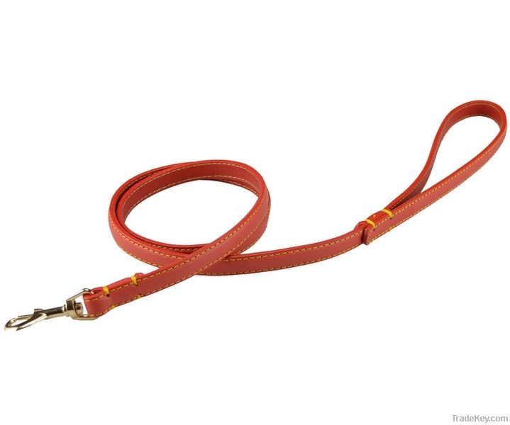 Thin Leather Dog Collar Lead