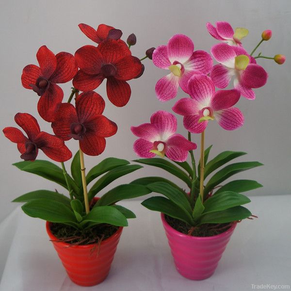 artificial orchid