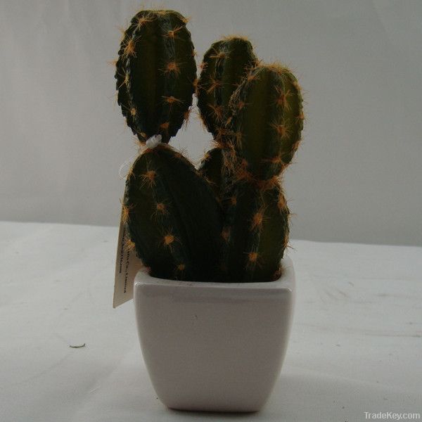 artificial cactus