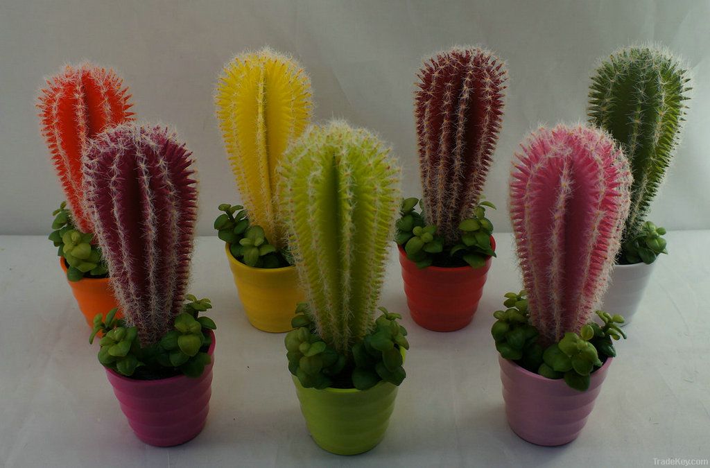 artificial cactus