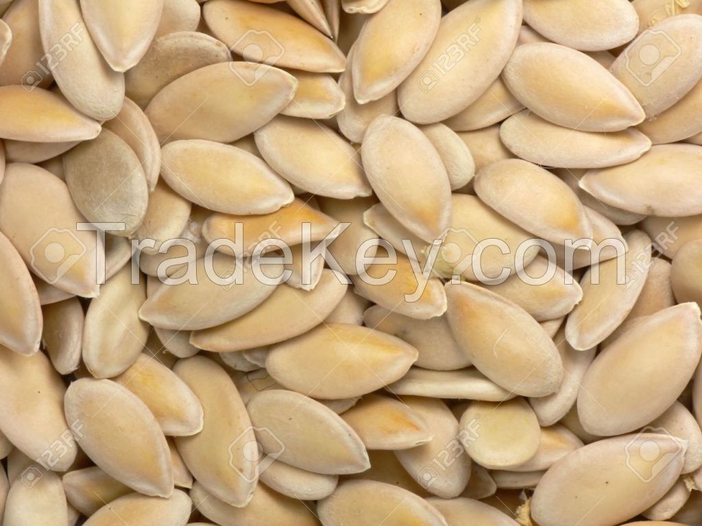 Melon Seed