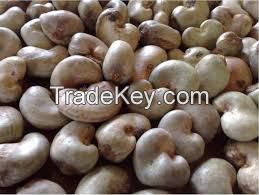 cashew Nuts