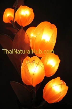 Lighted Tulip Flowers