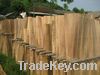 Eucalyptus Core Veneer