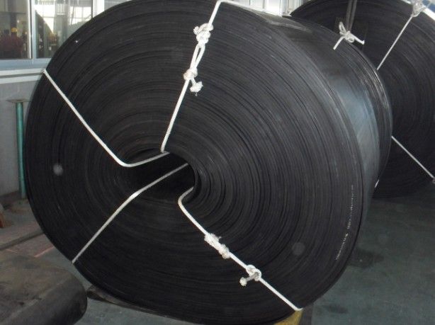 Multi-ply NN nylon conveyor belt