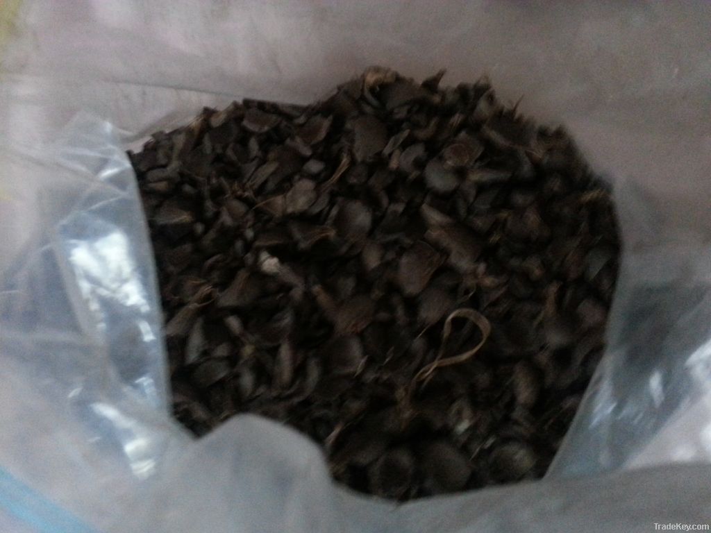 Roasted Palm Kernel Shells