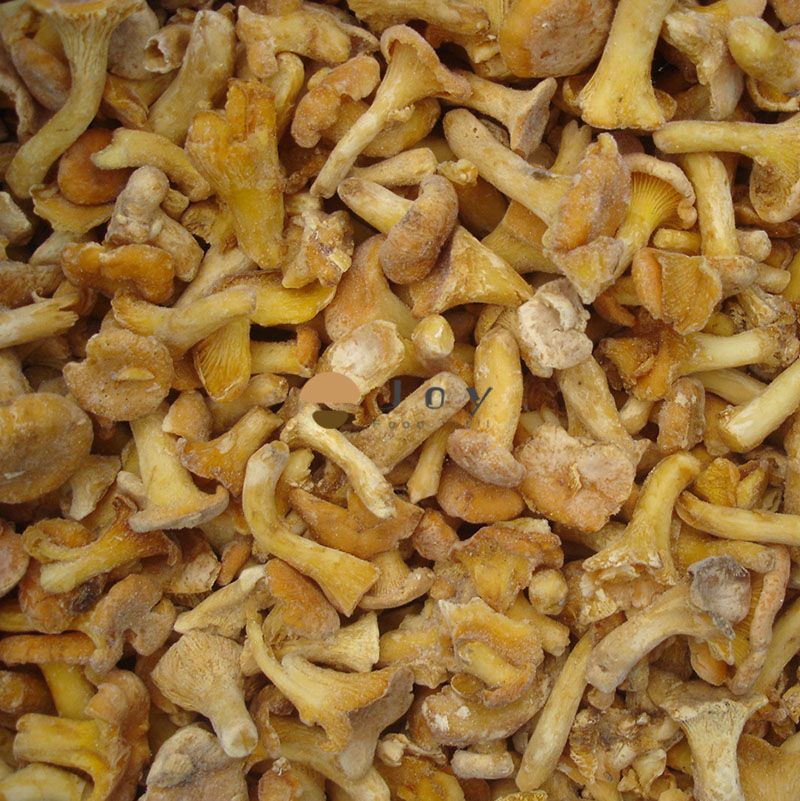 Iqf frozen chanterelles mushroom cantharellus cibarius