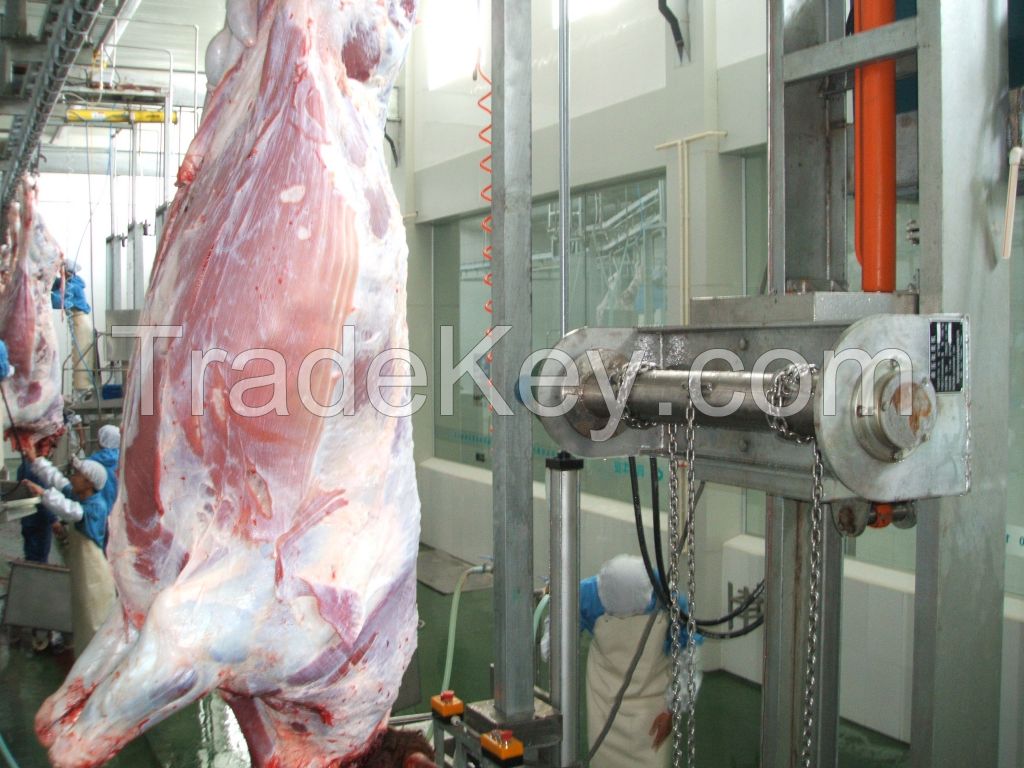 Hydraulic Type Cattle Abattoir Skin Removed  Machine