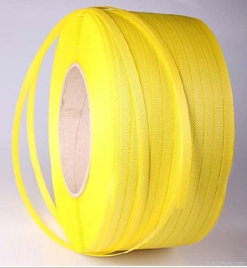 Secure PP Plastic Binding Strips