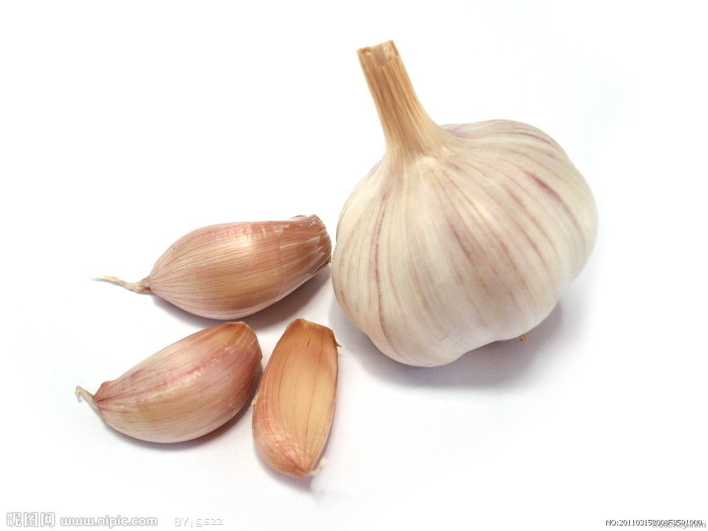 Garlic Extract