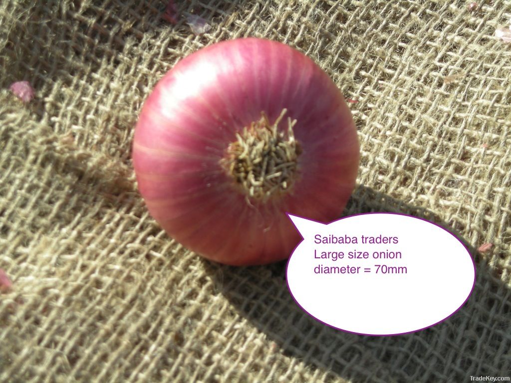 Nasik Red Onion