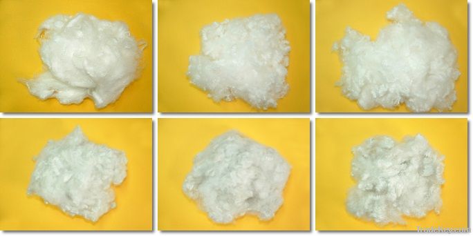 Polyester Fiber