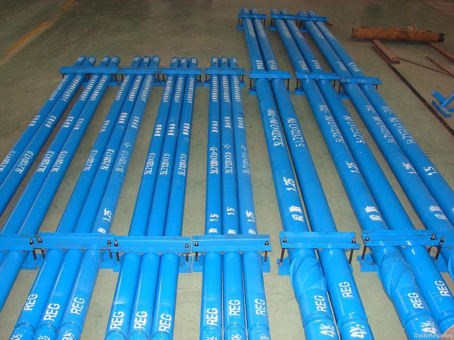 downhole motor