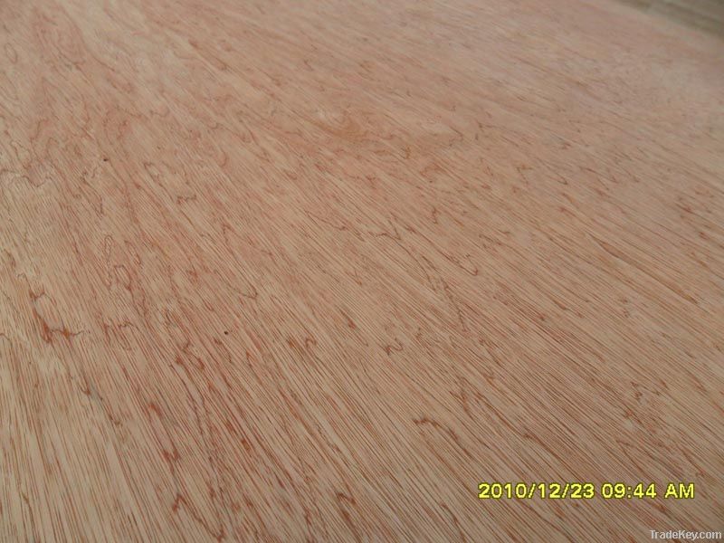 commercial plywood poplar pine teak okumen bintangor redwood plywood