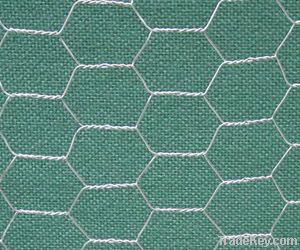 Stainless Steel Hexagonal Wire Netting