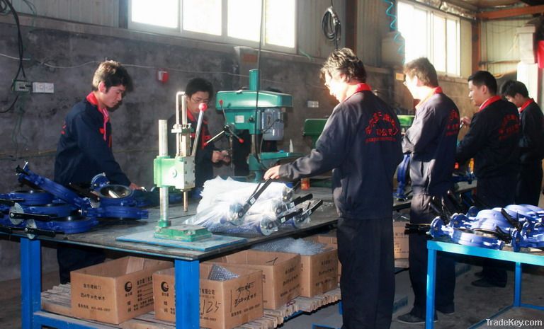 Wafer type EPDM lined soft sealing butterfly valve