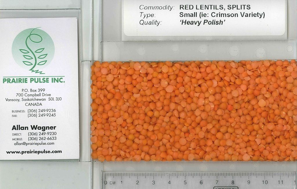 Red Split Lentils