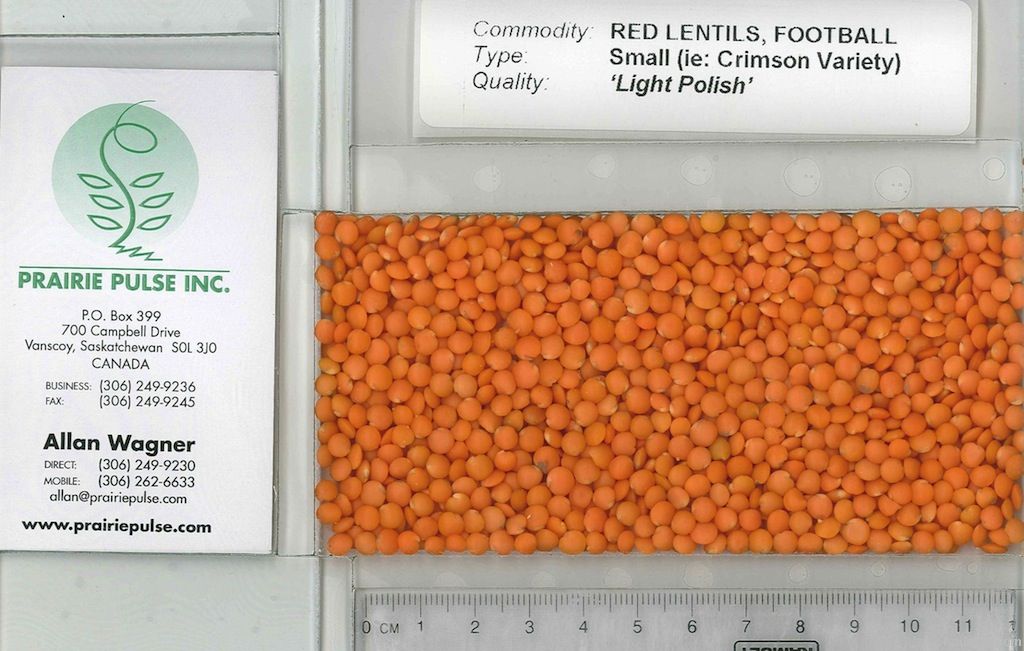 Red Football Lentils