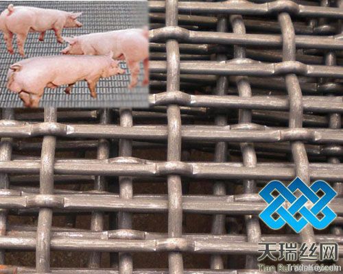 Crimped Wire Mesh