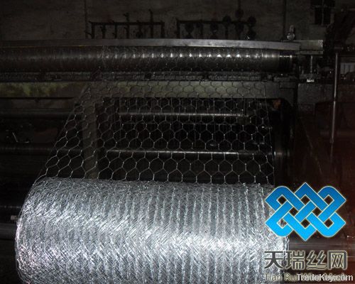 Hexagonal Wire Netting