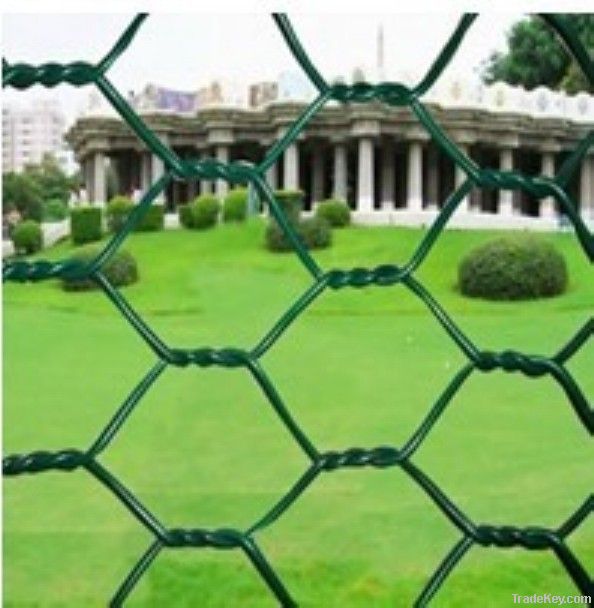 Hexagonal wire mesh