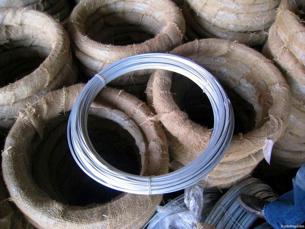 BWG8-22 Galvanized iron wire