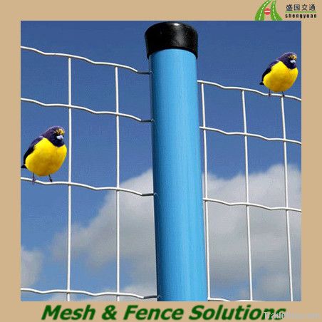 Pvc Coated Euro Fence/Euro Mesh Fence