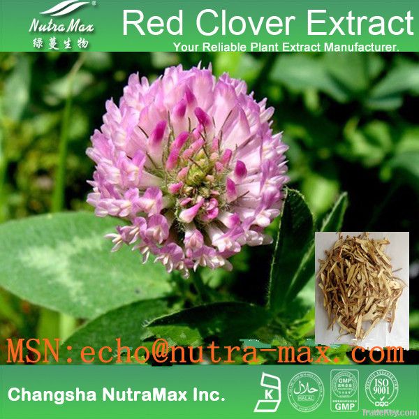 Red Clover Extract