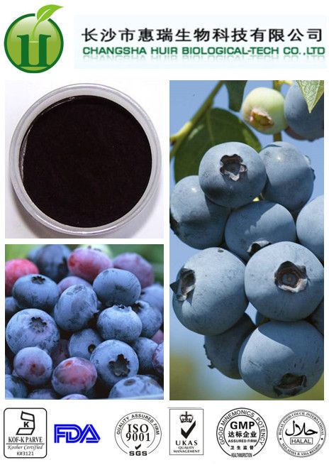 Bilberry Extract Anthocyanidin CAS No. 84082-34-8 Protecting Eyesight